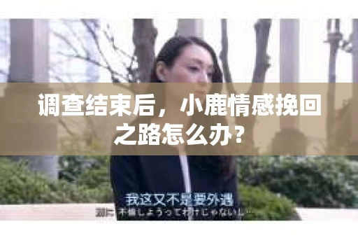 调查结束后，小鹿情感挽回之路怎么办？