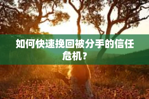 如何快速挽回被分手的信任危机？