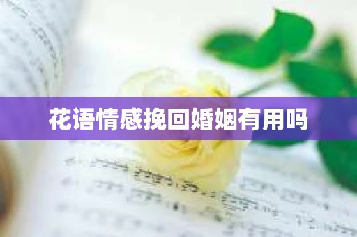 花语情感挽回婚姻有用吗