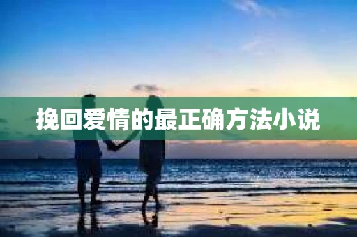 挽回爱情的最正确方法小说