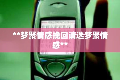 **梦聚情感挽回请选梦聚情感**