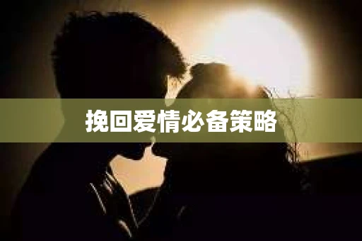 挽回爱情必备策略