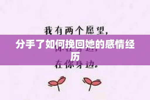 分手了如何挽回她的感情经历