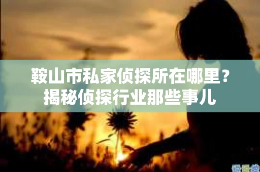 鞍山市私家侦探所在哪里？揭秘侦探行业那些事儿