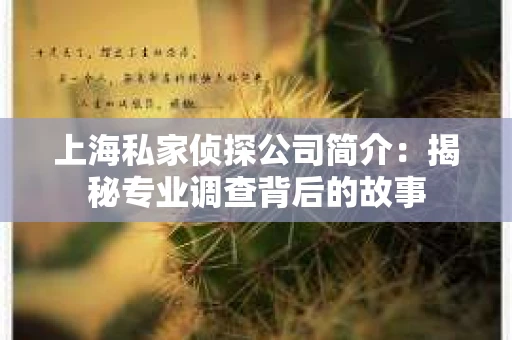 上海私家侦探公司简介：揭秘专业调查背后的故事