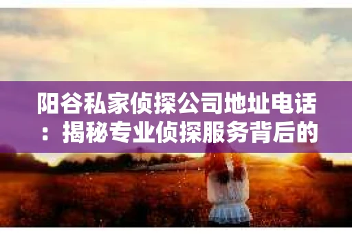 阳谷私家侦探公司地址电话：揭秘专业侦探服务背后的故事