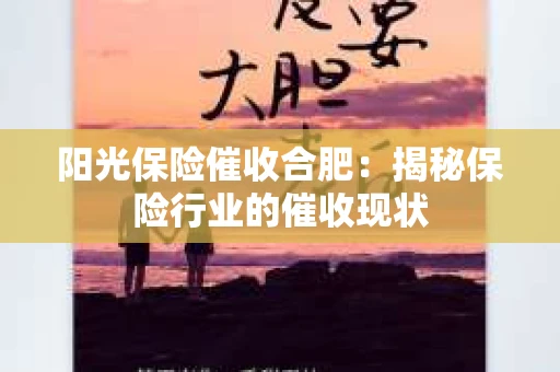 阳光保险催收合肥：揭秘保险行业的催收现状