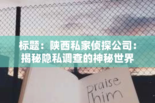 标题：陕西私家侦探公司：揭秘隐私调查的神秘世界