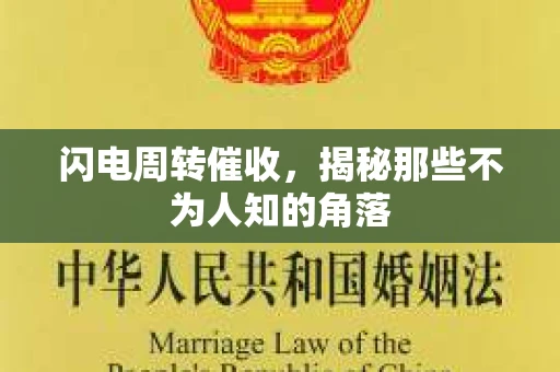 闪电周转催收，揭秘那些不为人知的角落
