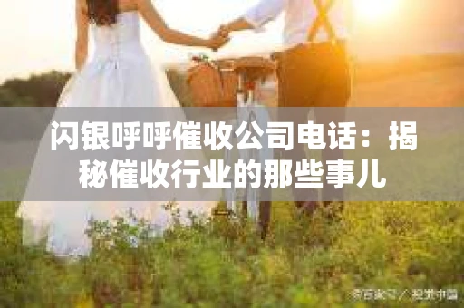 闪银呼呼催收公司电话：揭秘催收行业的那些事儿