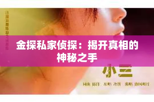 金探私家侦探：揭开真相的神秘之手