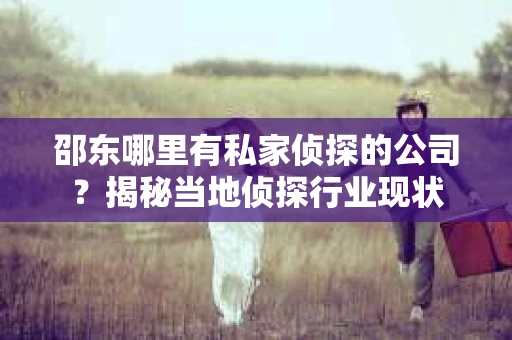 邵东哪里有私家侦探的公司？揭秘当地侦探行业现状
