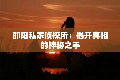 邵阳私家侦探所：揭开真相的神秘之手