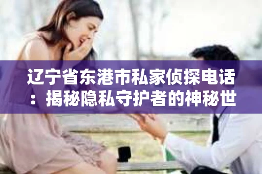 辽宁省东港市私家侦探电话：揭秘隐私守护者的神秘世界