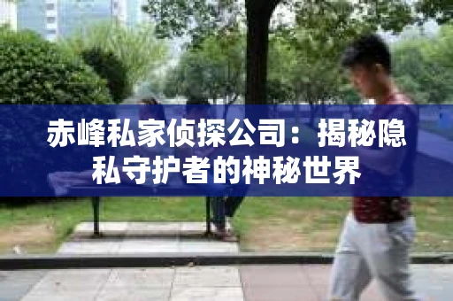 赤峰私家侦探公司：揭秘隐私守护者的神秘世界