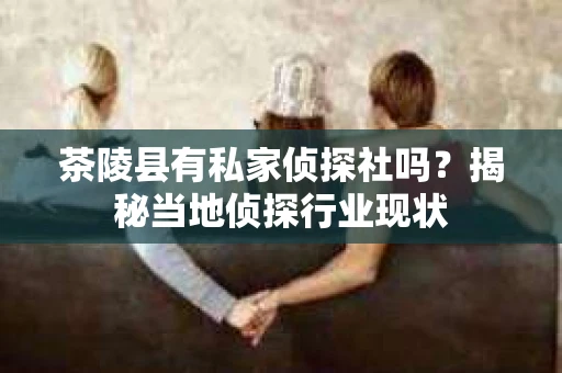 茶陵县有私家侦探社吗？揭秘当地侦探行业现状