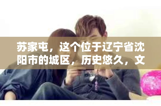 苏家屯，这个位于辽宁省沈阳市的城区，历史悠久，文化底蕴深厚。近年来，随着社会的发展，人们对于私家侦探的需求也逐渐增加。那么，苏家屯有私家侦探吗？今天，我们就来聊聊这个话题。