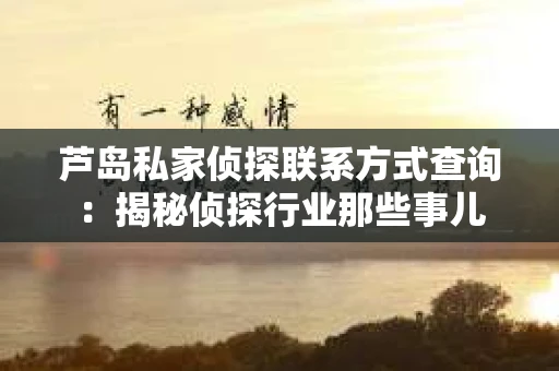 芦岛私家侦探联系方式查询：揭秘侦探行业那些事儿