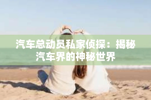 汽车总动员私家侦探：揭秘汽车界的神秘世界