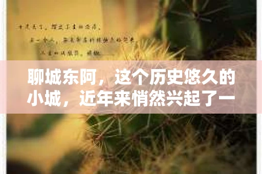 聊城东阿，这个历史悠久的小城，近年来悄然兴起了一股新的服务潮流——私家侦探。今天，我们就来聊聊这个话题，看看在聊城东阿，私家侦探是如何成为人们生活中的一部分的。