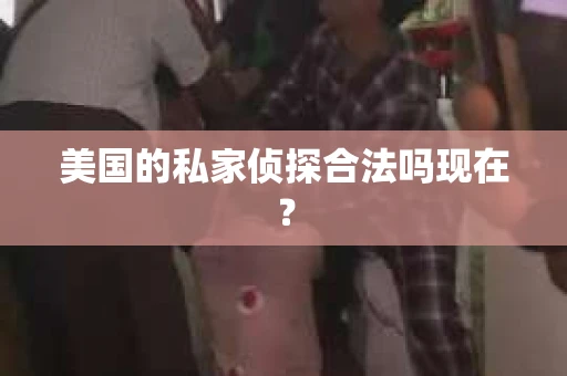 美国的私家侦探合法吗现在？
