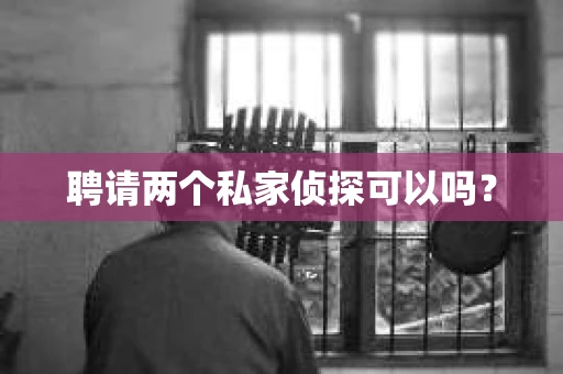 聘请两个私家侦探可以吗? 聘请两个私家侦探可以吗?