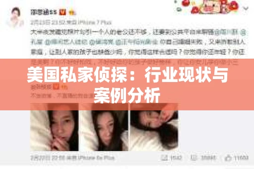 美国私家侦探：行业现状与案例分析