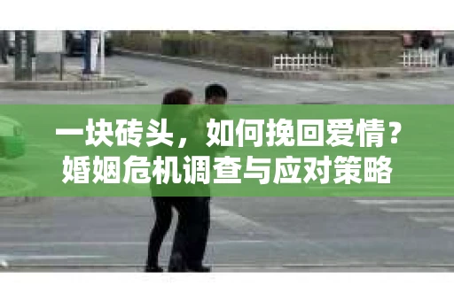 一块砖头，如何挽回爱情？婚姻危机调查与应对策略