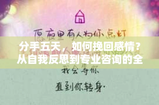 分手五天，如何挽回感情？从自我反思到专业咨询的全面解决方案