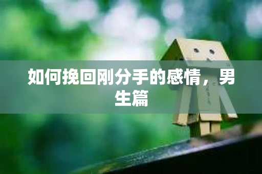 如何挽回刚分手的感情，男生篇