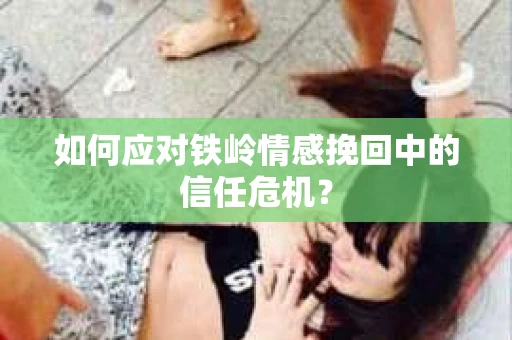 如何应对铁岭情感挽回中的信任危机？