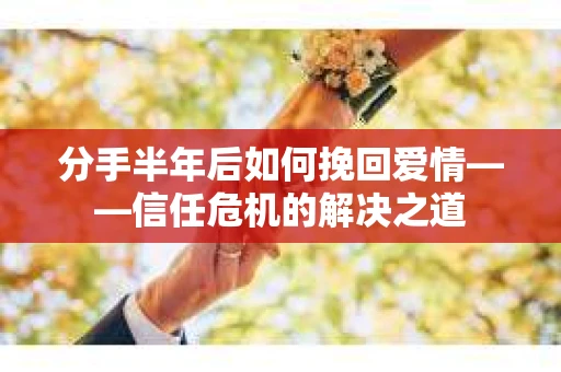 分手半年后如何挽回爱情——信任危机的解决之道
