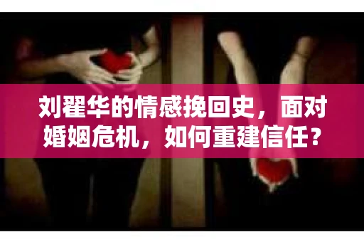 刘翟华的情感挽回史，面对婚姻危机，如何重建信任？